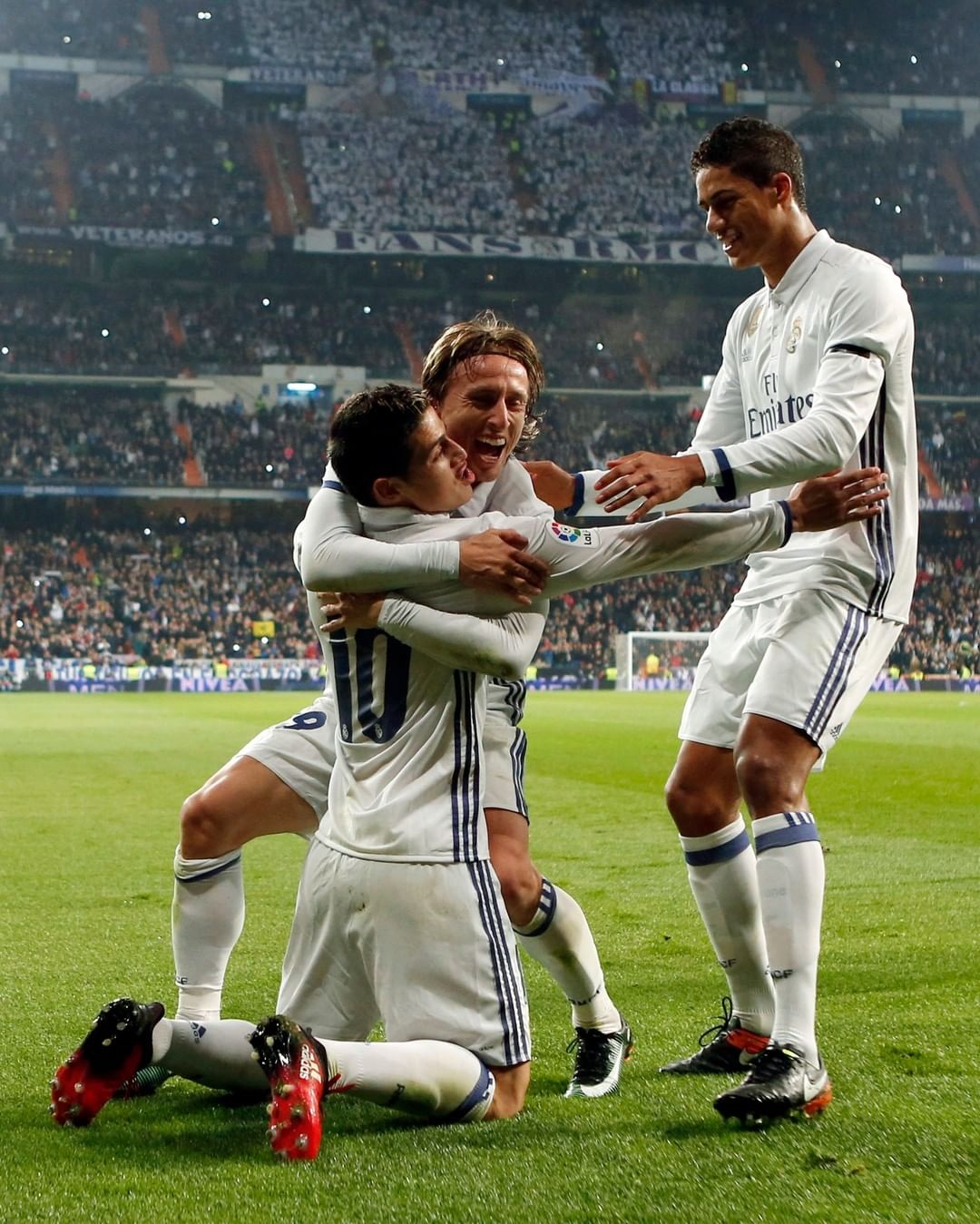 的持续成长 的持续成长